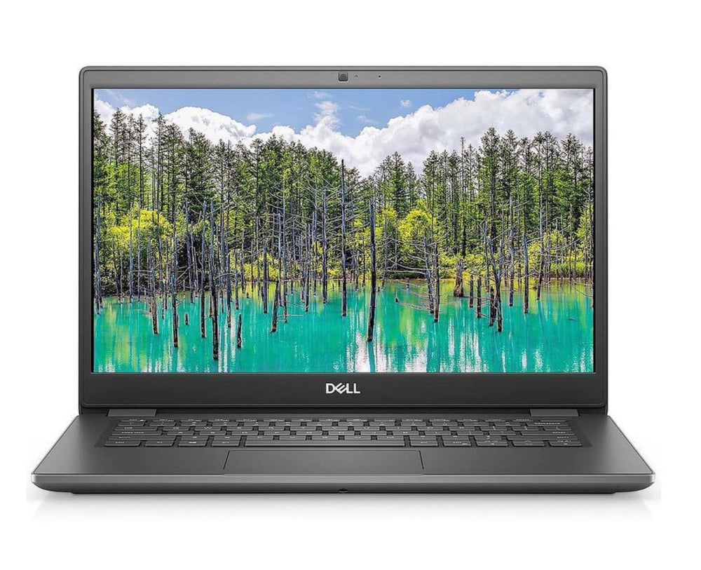 Business laptops